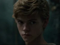 Newt 