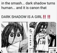 Human Dark Shadow