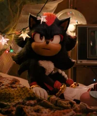 Shadow The Hedgehog
