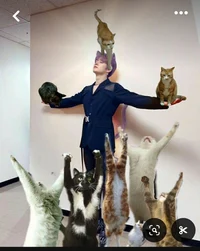 Stray kids 