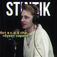 stintik 