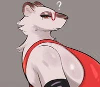 Luci