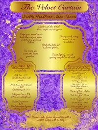 The Velvet Curtain 