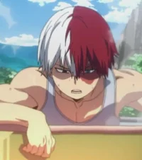 Shoto Todoroki 