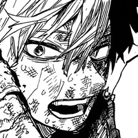 MHA Shoto Todoroki