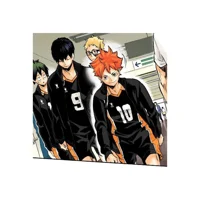1HQ - KARASUNO FAM 