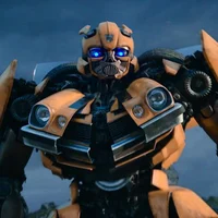-Bumblebee ROTB-