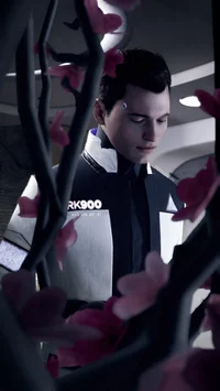 RK900