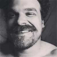 David Harbour 