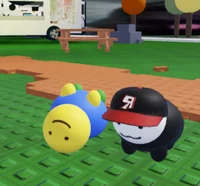 Noob and Guest beans