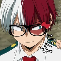 Shoto Todoroki