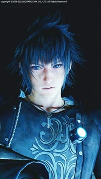 Noctis Lucis Caelum