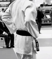 Judo trainer