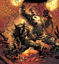 Punisher and Logan