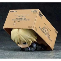 Raiden in a box