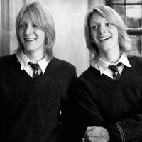 WEASLEY TWINS