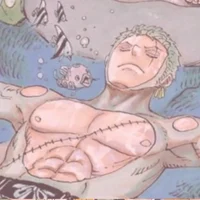 OP roronoa zoro