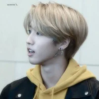 Han Jisung
