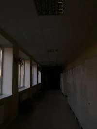 liminal school