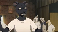 Beastars RP