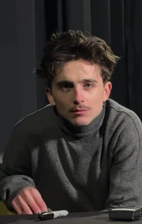 Timothée Chalamet 