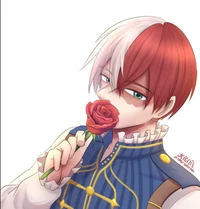 Shoto Todoroki
