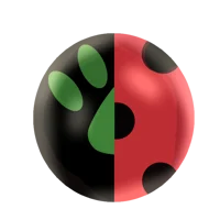 Miraculous Ladybug 