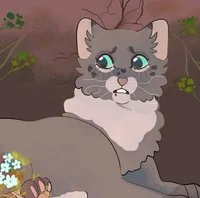 CINDERPELT -PROPHECY