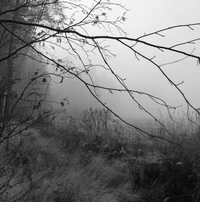 02HAYMITCH ABERNATHY