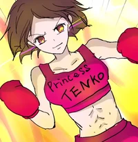 Tenko Boxer 