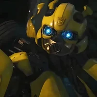 Bumblebee -ROTB-