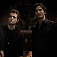 Damon and Stefan 
