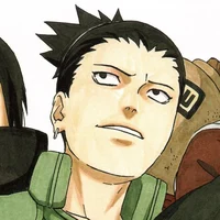 Shikamaru Nara