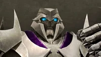 Megatron -TFP-