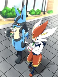 Cinderace y Lucario 