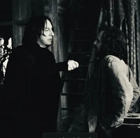 SEVERUS AND SIRIUS