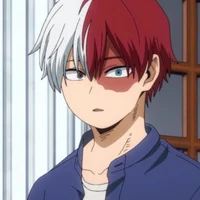 Shoto Todoroki 