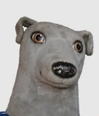 Speedy the Greyhound