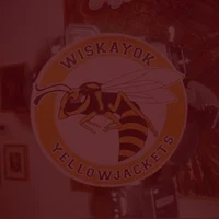 yellowjackets 