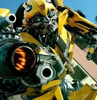 Bumblebee -TLK-