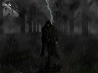Black Stalker