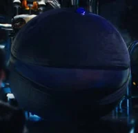 Blueberry Tara Adams