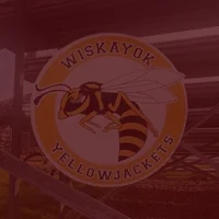 yellowjackets 