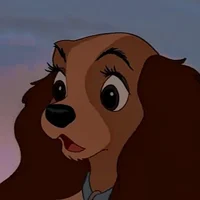 06 - 레이디