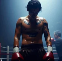 harry styles - boxer