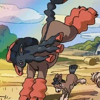 PKMN mudsdale