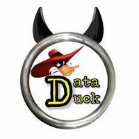 Data Duck AI
