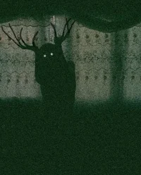 Skinwalker