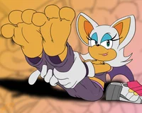 Rouge the Bat feet