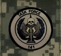 Task Force 141